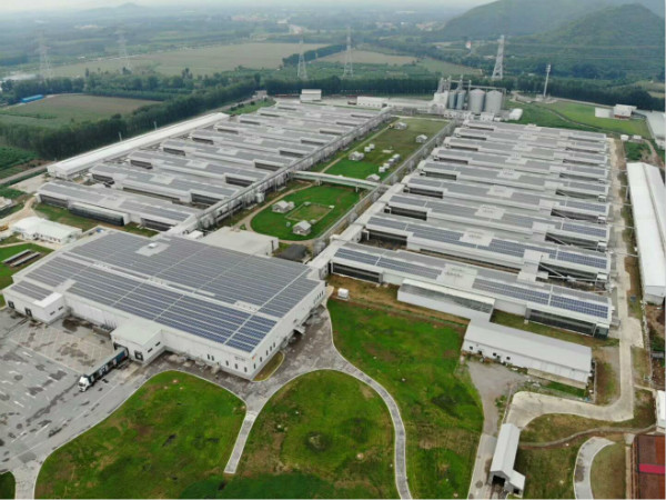 “掘金”下一个风口: 抖圈电力为正大蛋业5.46MW屋顶项目提供综合解决方案