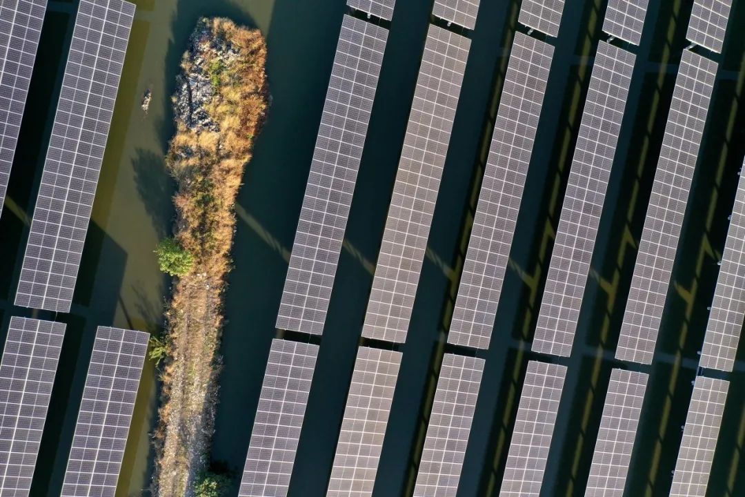 300MW！抖圈科技成功中标福建莆田渔光互补光伏项目