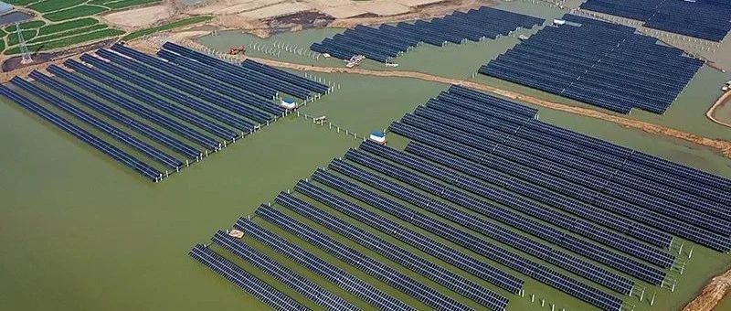  赵立坚微博点赞渔光互补模式抖圈科技滁州项目再受关注